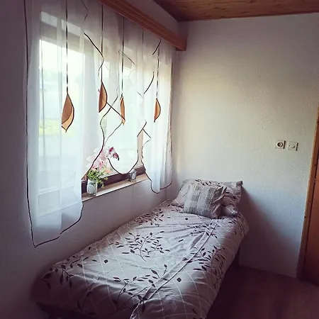 Bosnian Pyramid House *
